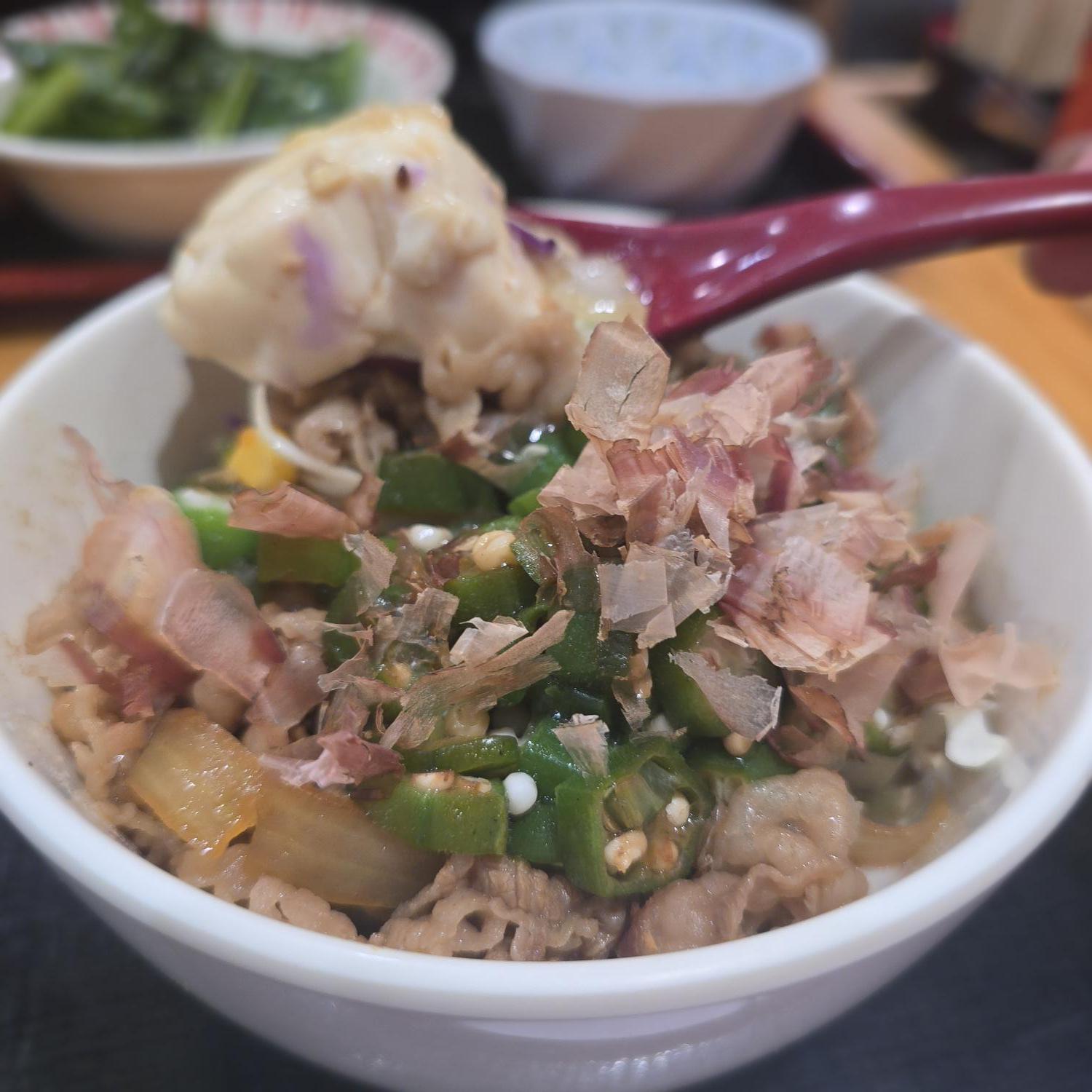 Okra Low Carb Gyu