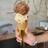 Hazelnut and Artisan Chocolate Double Scoop Ice Cream