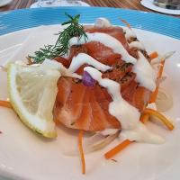 Salmon