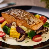 Salmon