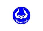 Express Teppan-Yaki